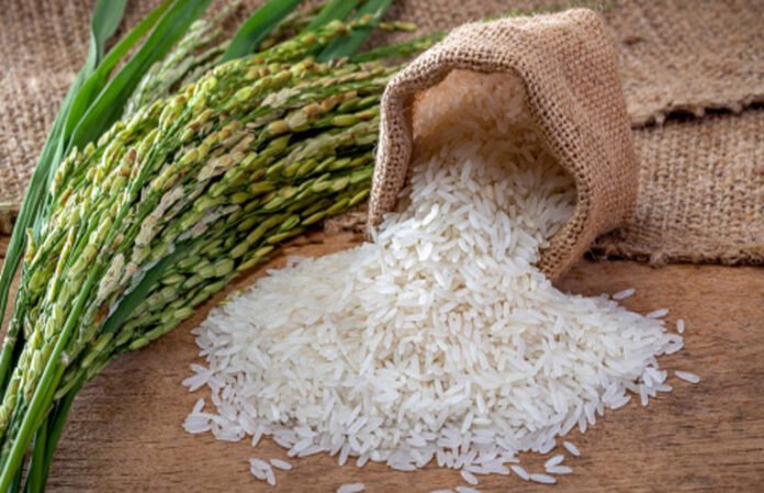 An Image of Basmati Rice