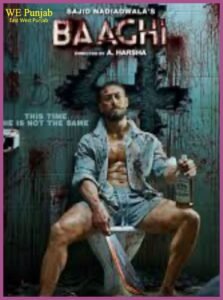 Baaghi 4 Movie Poster 