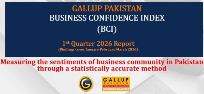 The image shows key features of Survey