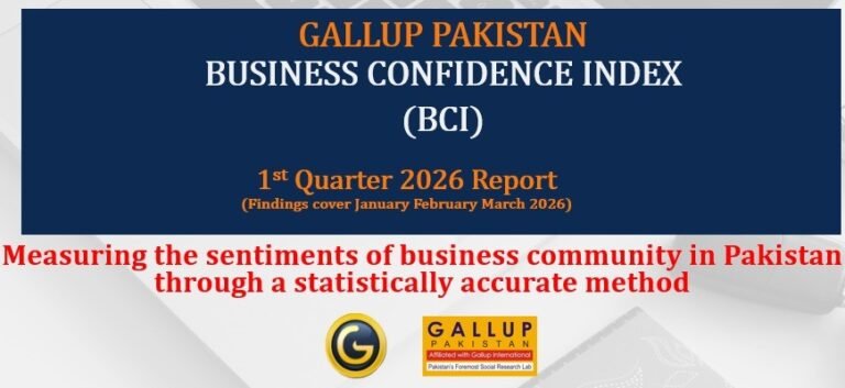 The image shows key features of Survey